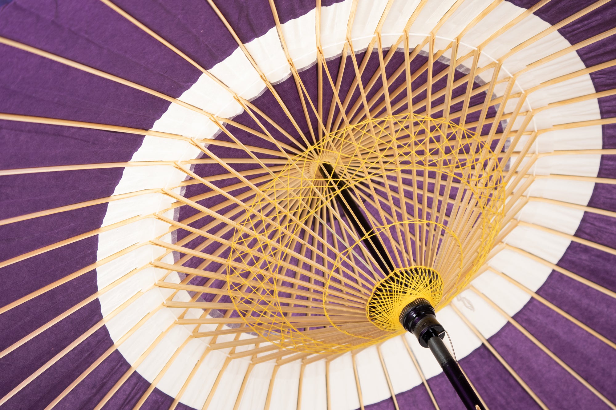 蛇之目傘 中入/nakairi