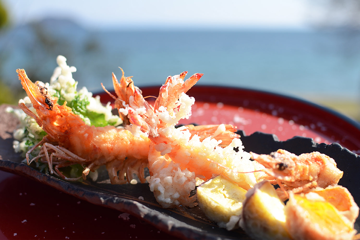 〈龍神乃鹽〉SASHIMI・YAKINIKU・GIN-SHARI 3種セット
