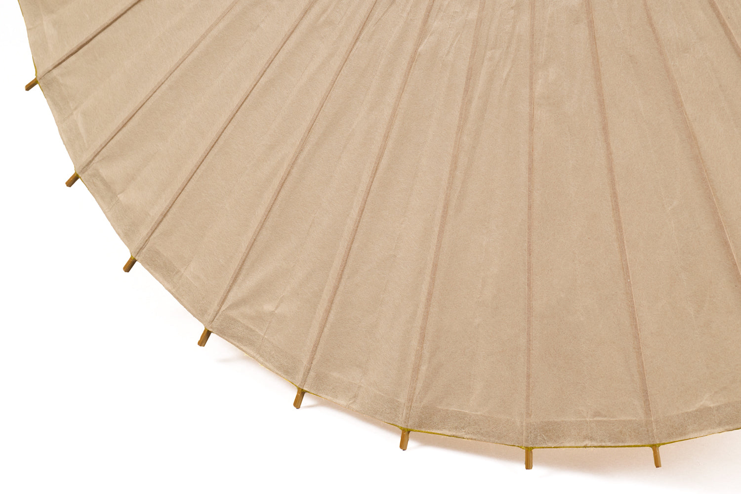 Japanese parasol -uguisu-