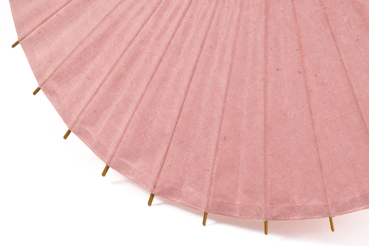 Japanese parasol -uguisu-