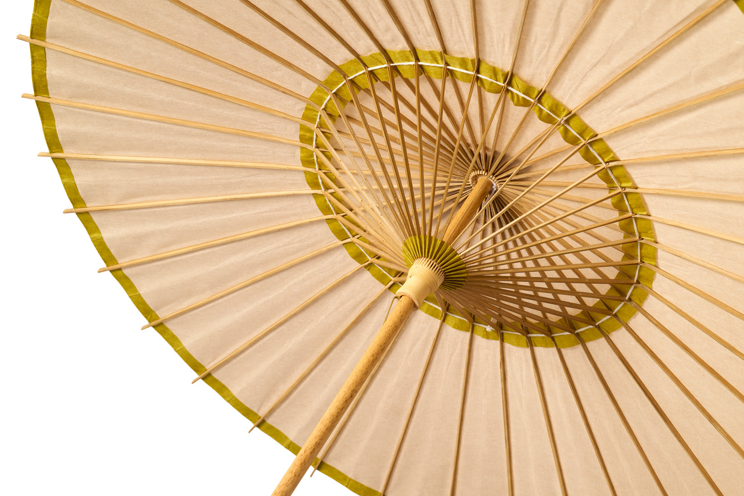 Japanese parasol -uguisu-
