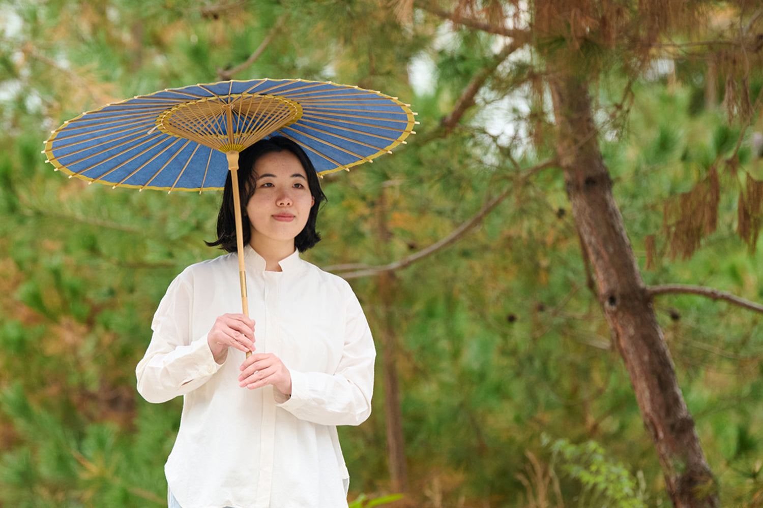 Japanese parasol -uguisu-