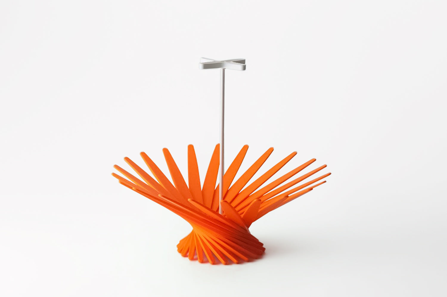 Hiyoshia × Hachi market 「Bloom」Fruit basket