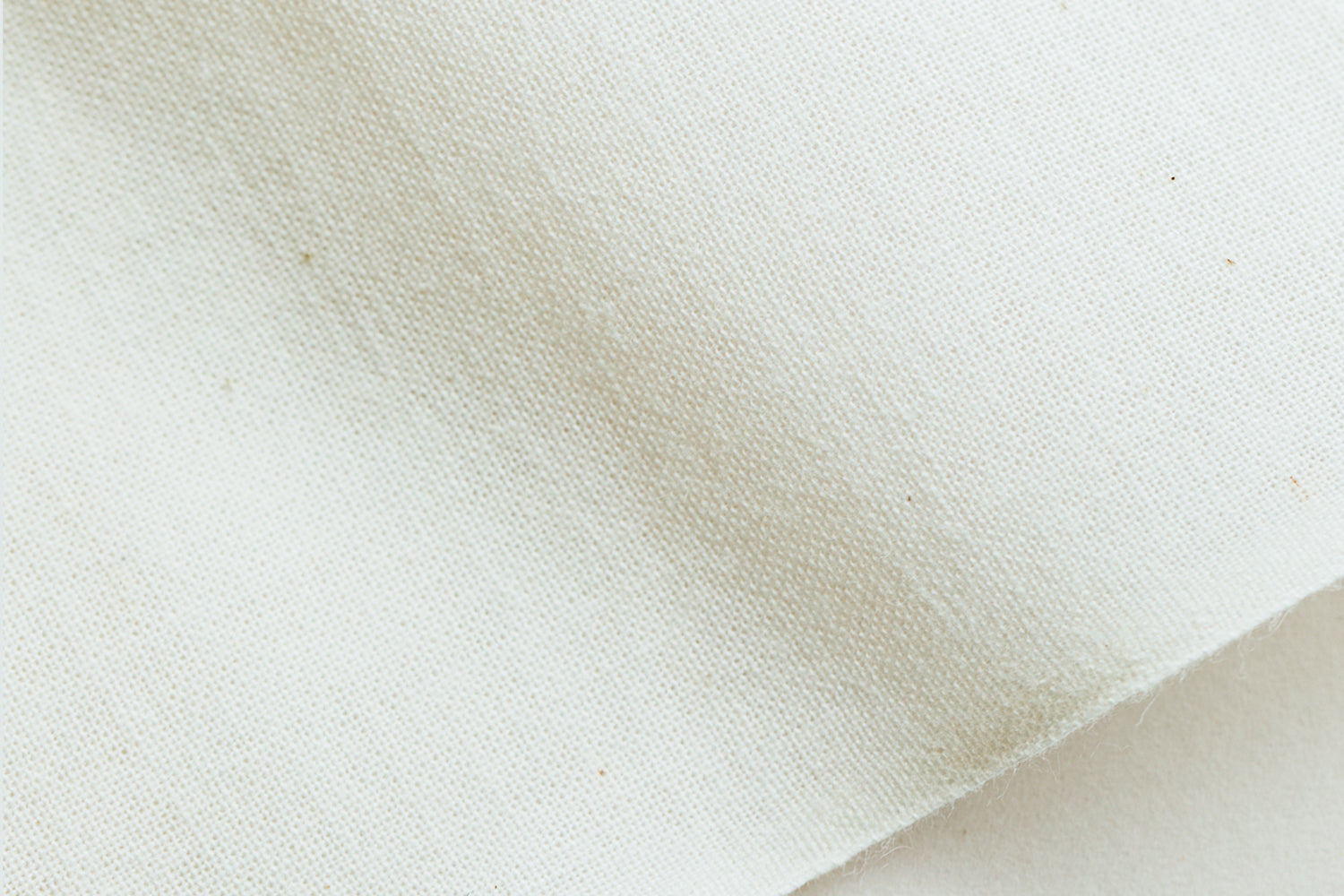 〈SaSaSa〉 Kitchen Roll Free