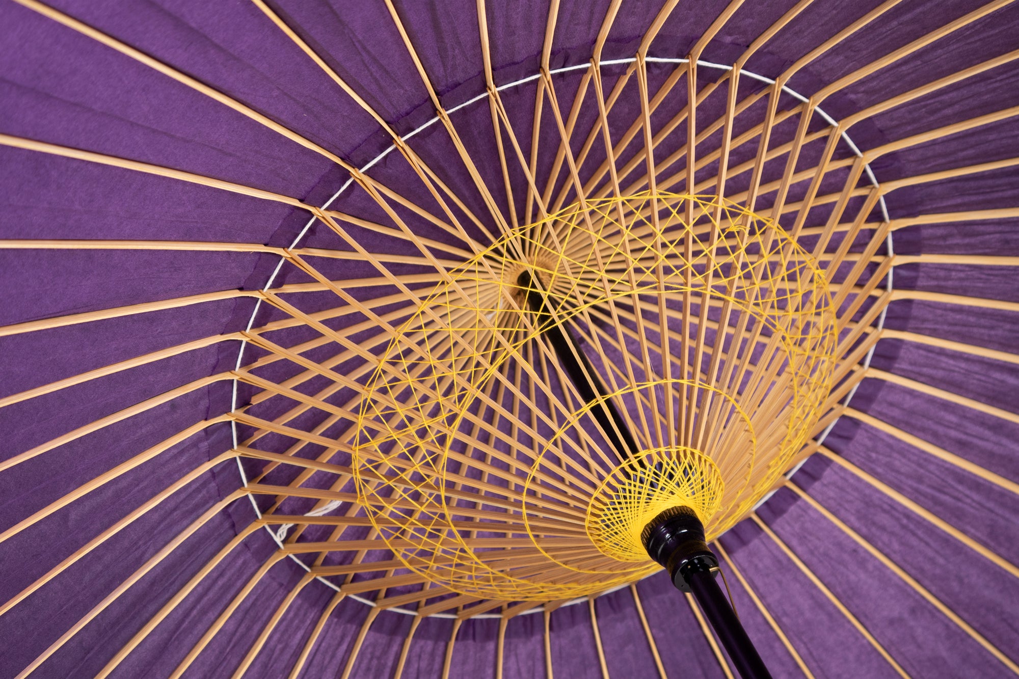 Janomegasa 【Unicolor】