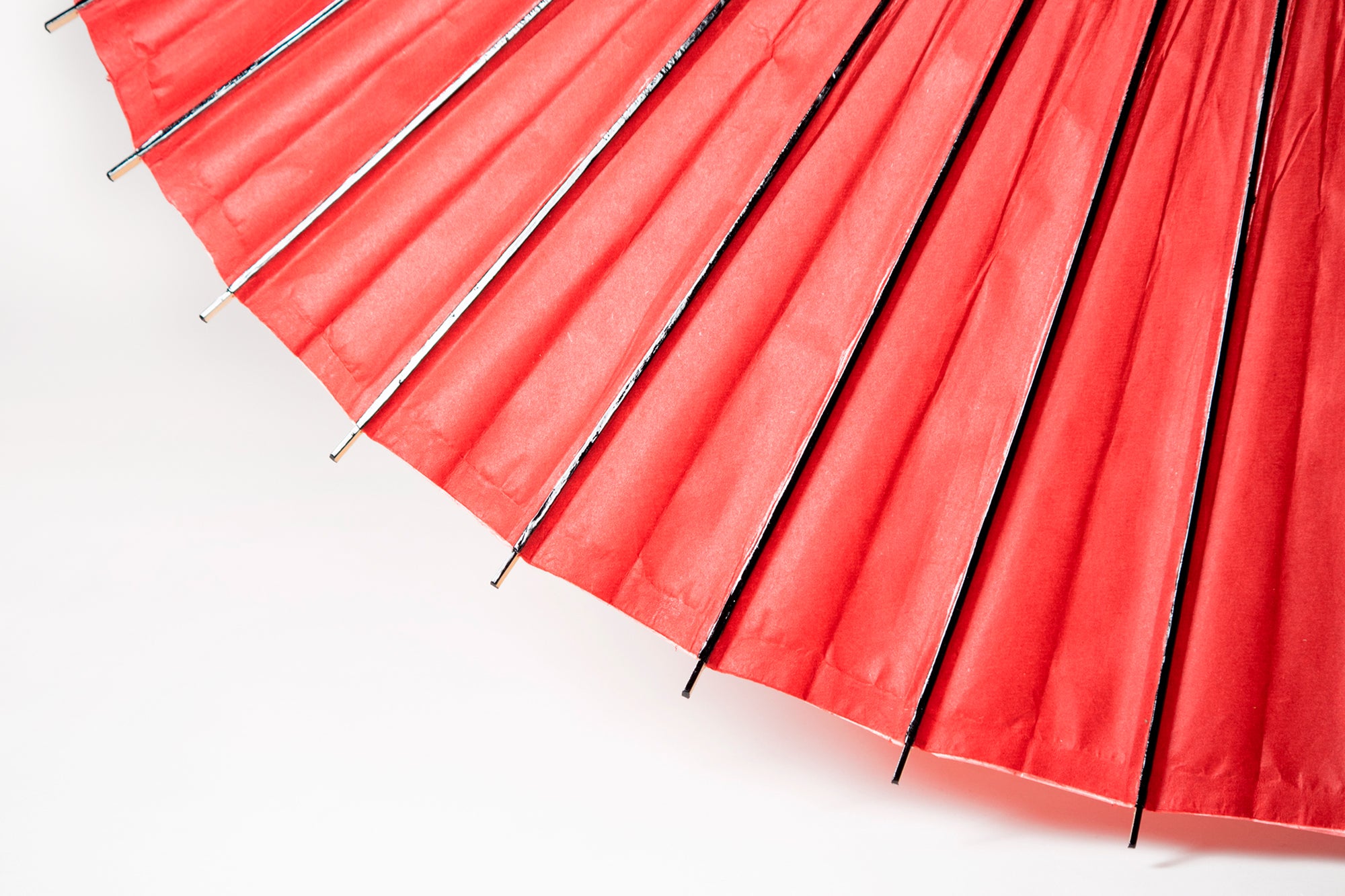 Janomegasa 【Unicolor】