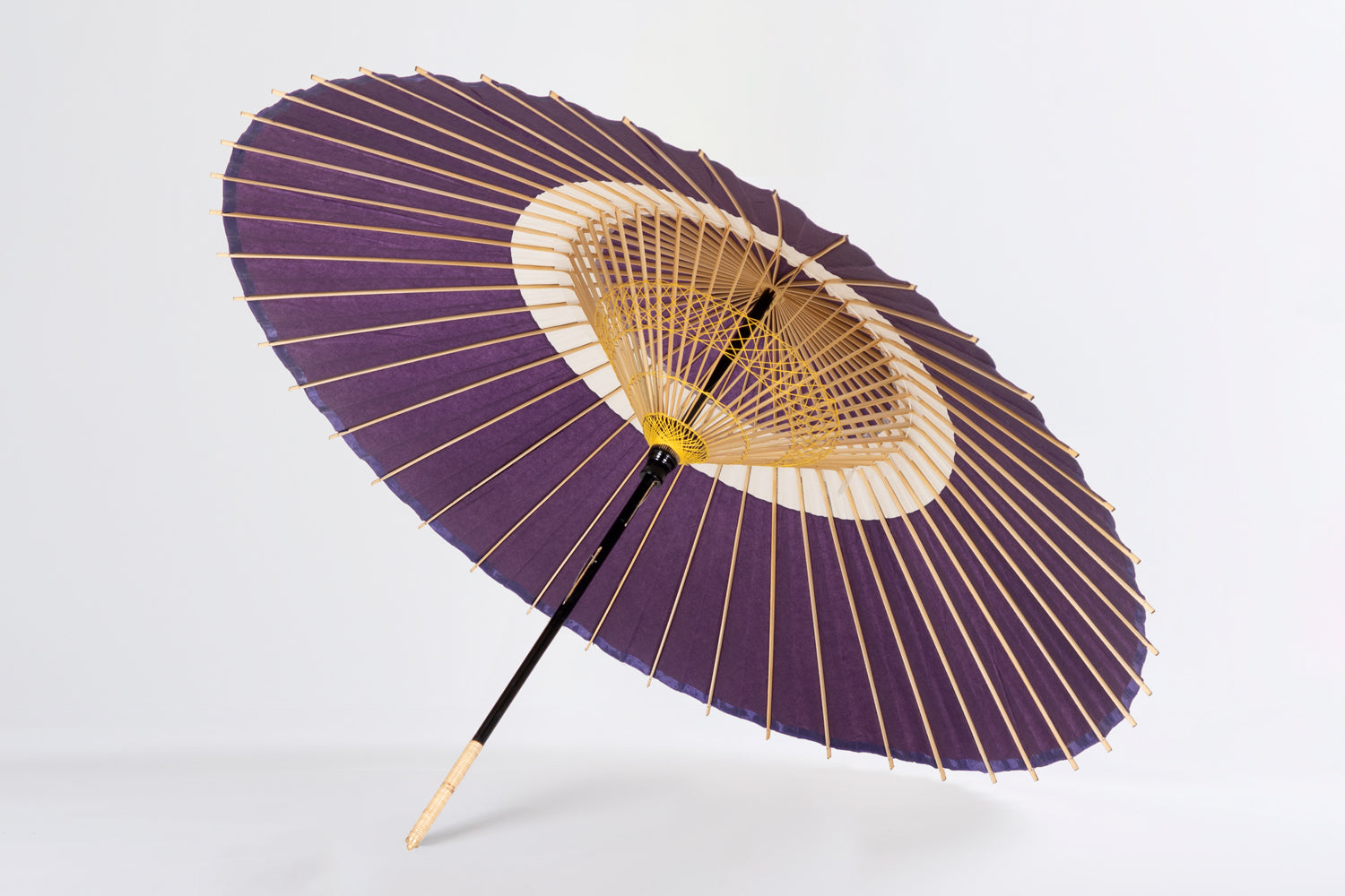 Janomegasa 【Bicolor】