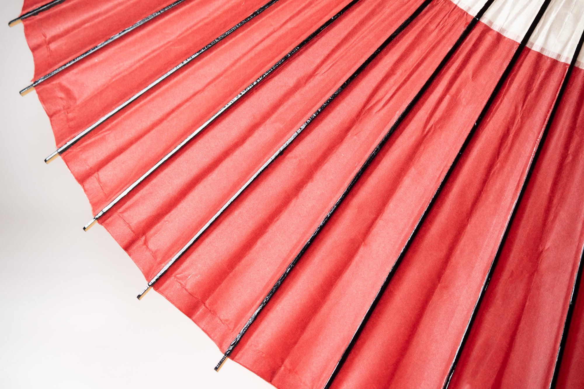 Janomegasa 【Bicolor】