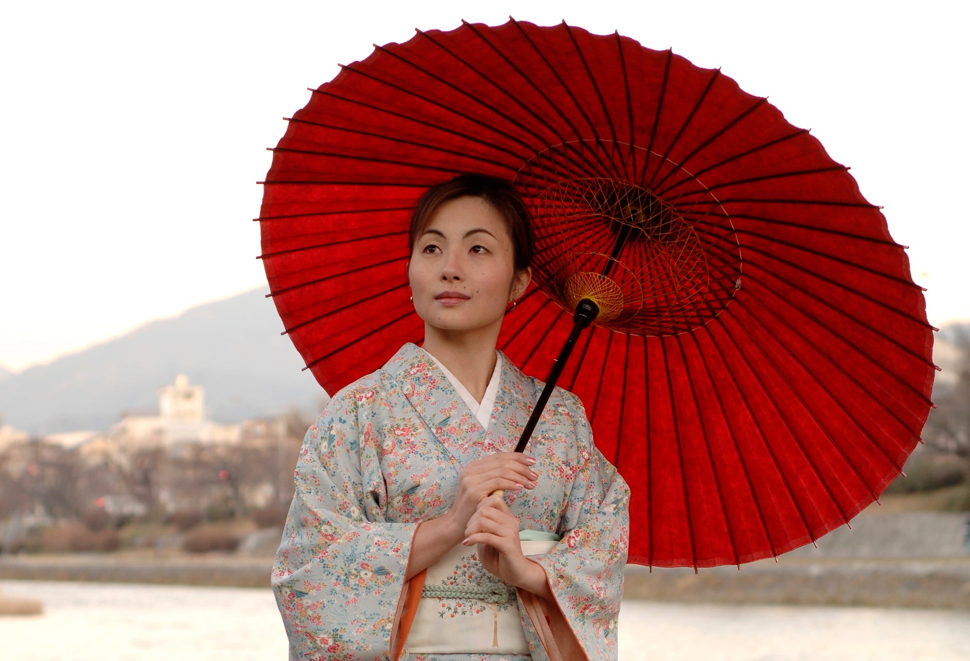 Janomegasa 【Unicolor】