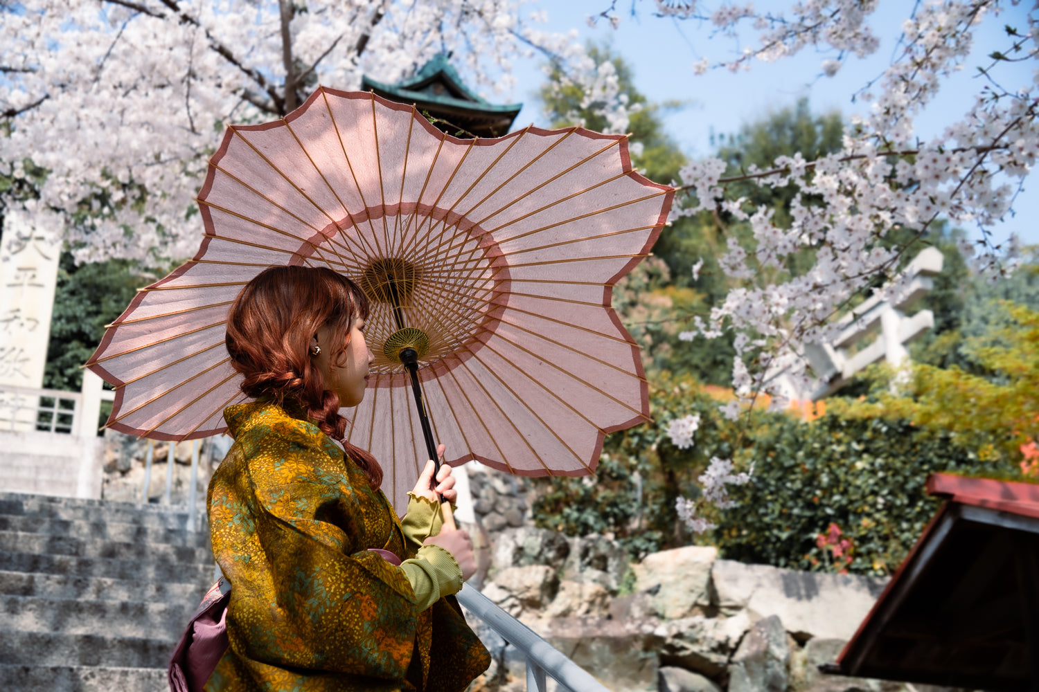 Sakura Wagasa (Japanese Umbrella) | 京和傘・照明・工芸 - HIYOSHIYA