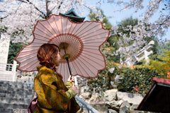 桜和傘