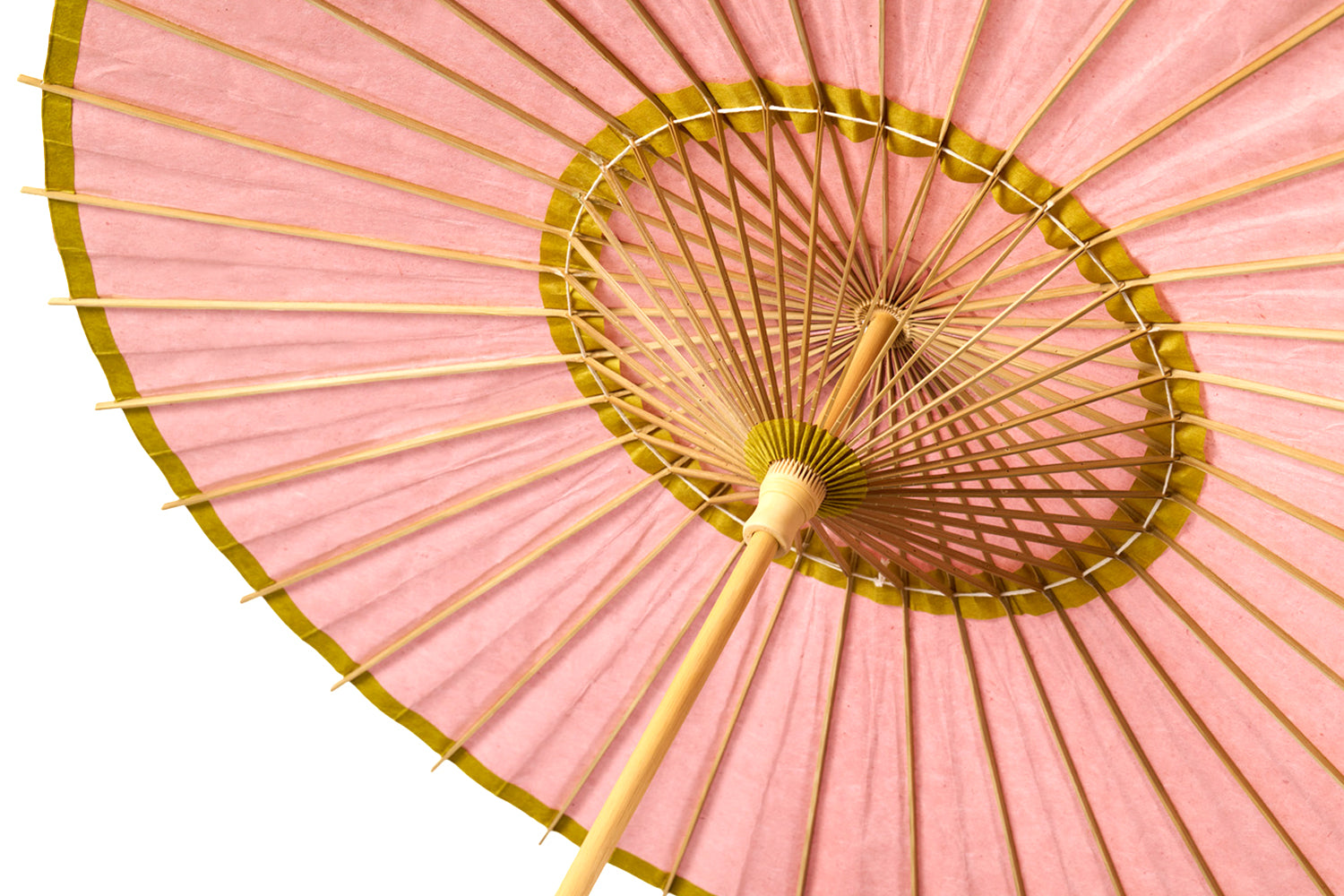 Japanese parasol -uguisu-