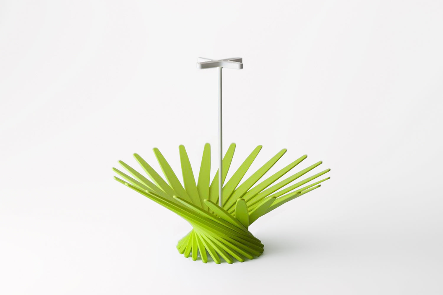 Hiyoshia × Hachi market　「Bloom」Fruit basket