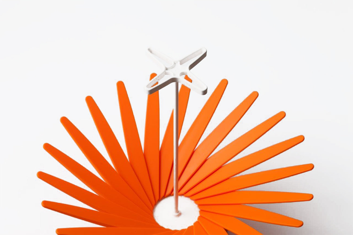 Hiyoshia × Hachi market　「Bloom」Fruit basket