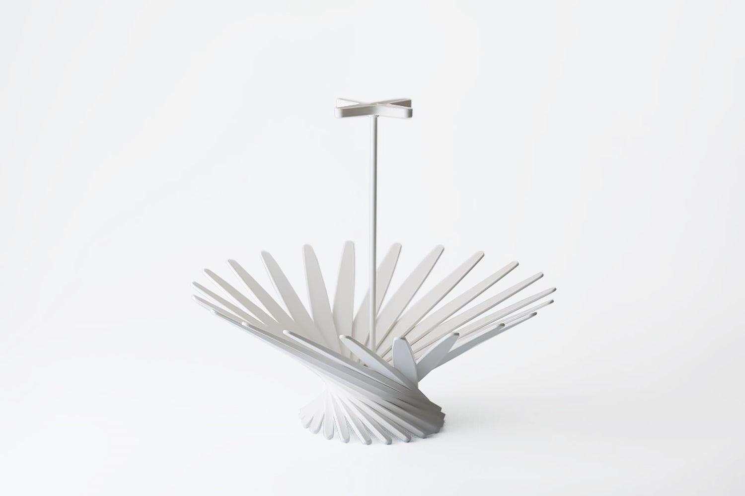 Hiyoshia × Hachi market　「Bloom」Fruit basket