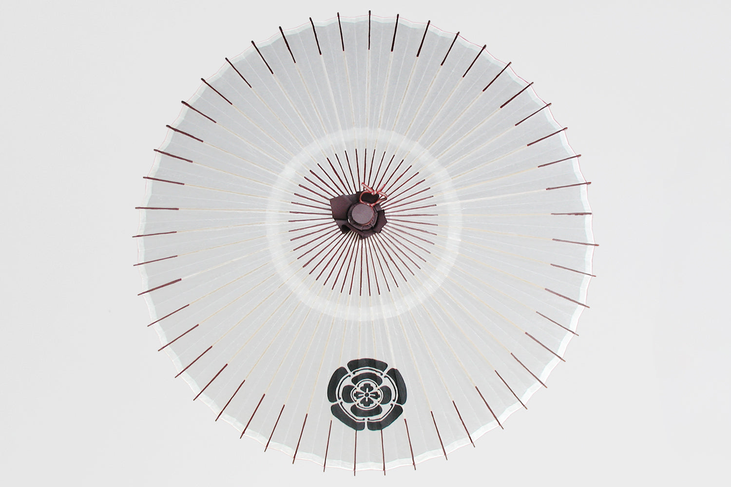 Customization Options