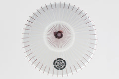 Customization Options