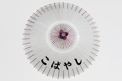 Customization Options